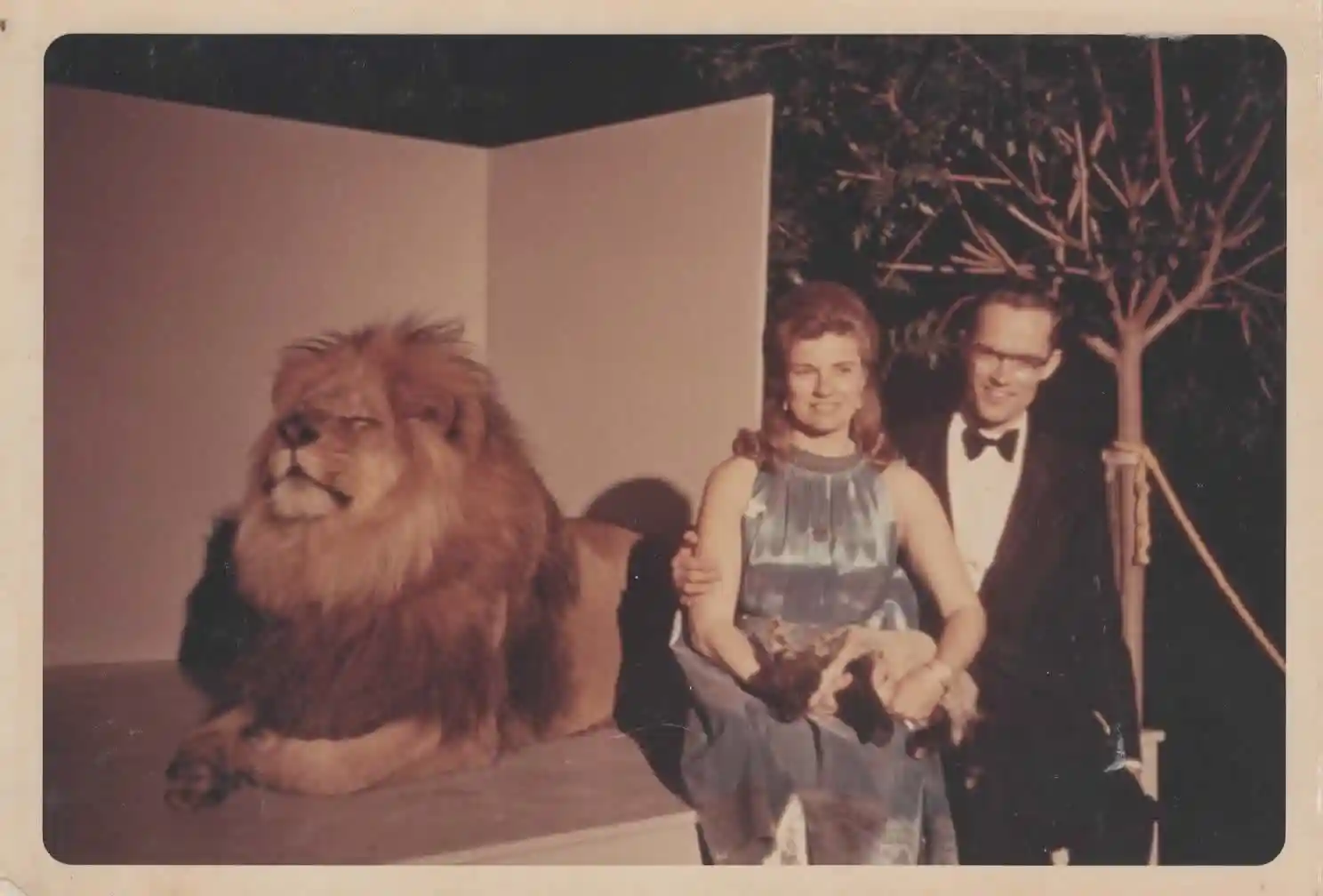 AC dance Jan 1967 with lion + Merediths